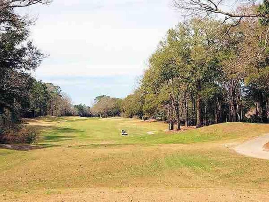 Donna'S Charm: 3 Br/King-Suite/Pools/Golf Daphne Esterno foto